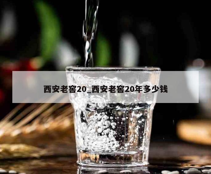 西安老窖20_西安老窖20年多少钱 