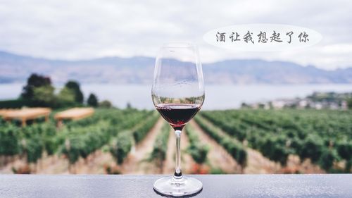 2018年葡萄酒排行榜，2018年葡萄酒销售数据