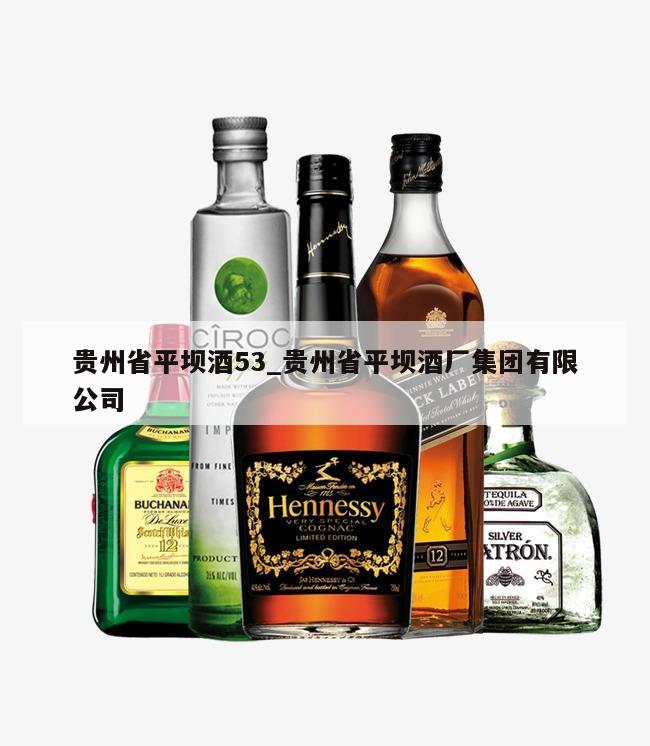 贵州省平坝酒53_贵州省平坝酒厂集团有限公司