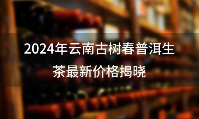 2024年云南古树春普洱生茶最新价格揭晓，品质与价值共融