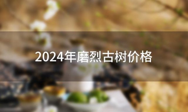 2024年磨烈古树价格 2024磨烈古树茶价格 