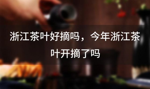 浙江茶叶好摘吗 今年浙江茶叶开摘了吗 