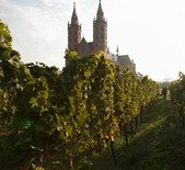 Weingut Bernhard Huber-雨博酒庄