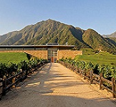 Montes Wines-蒙特斯酒庄 