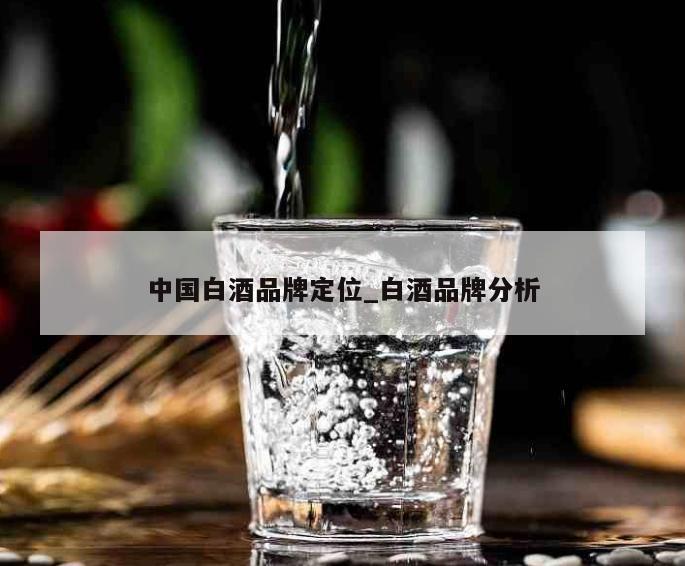 中国白酒品牌定位_白酒品牌分析 