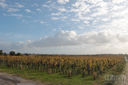 2012年，波尔多干白、桃红葡萄酒崛起之时