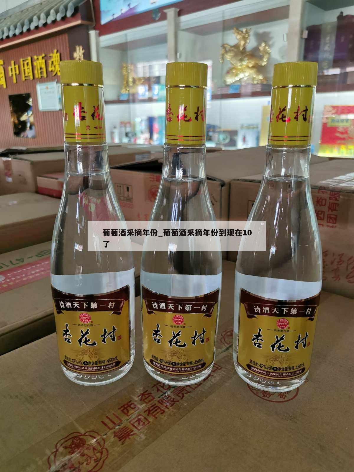 葡萄酒采摘年份_葡萄酒采摘年份到现在10了 