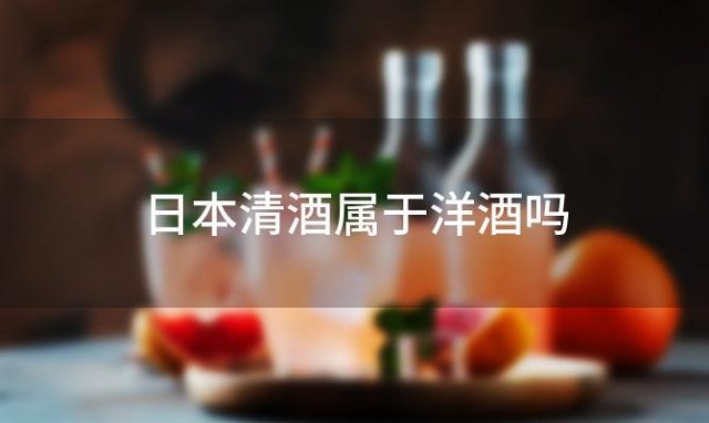 日本清酒属于洋酒吗「日本清酒直邮」 