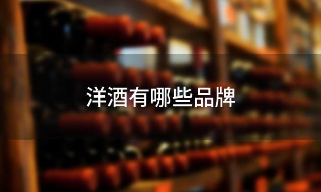 洋酒有哪些品牌「洋酒有哪些品牌XO」