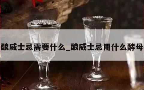 酿威士忌需要什么_酿威士忌用什么酵母 